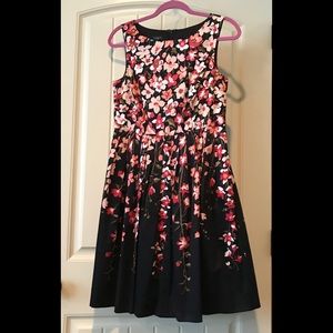 Talbots Floral Garden Fit and Flare poplin dress
